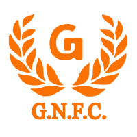 Gujarat Narmada Valley Fertilizers & Chemicals Limited (GNFC)